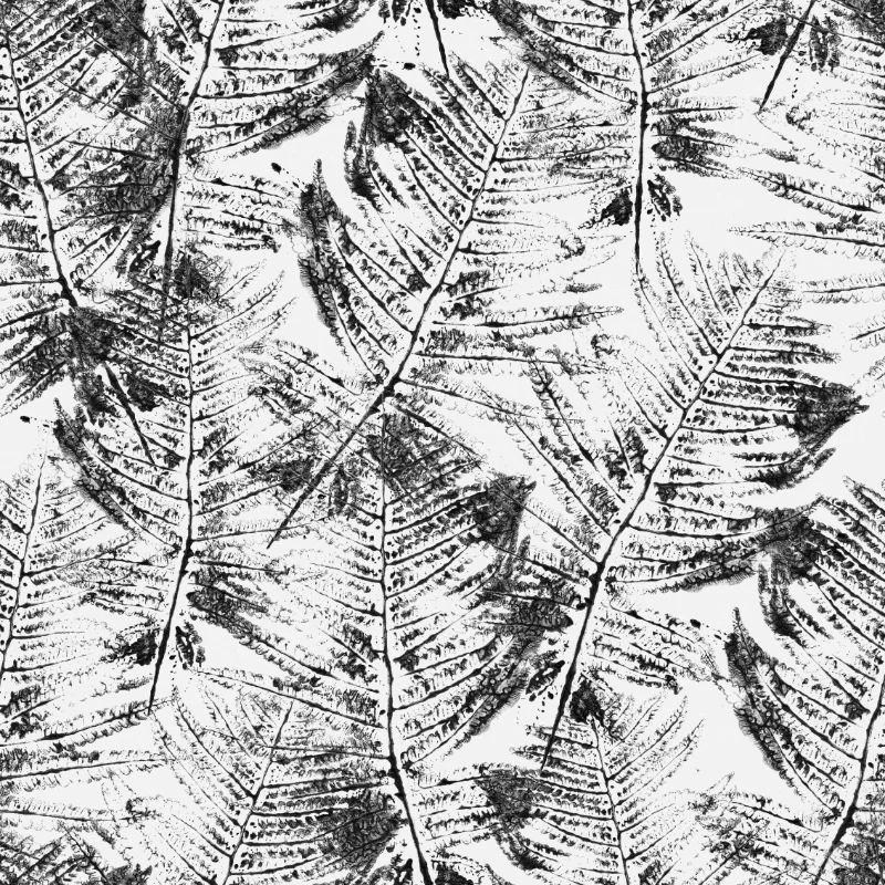 Painted Ferns Hojas Kentia